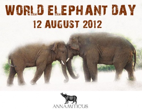 WorldElephantDay2012