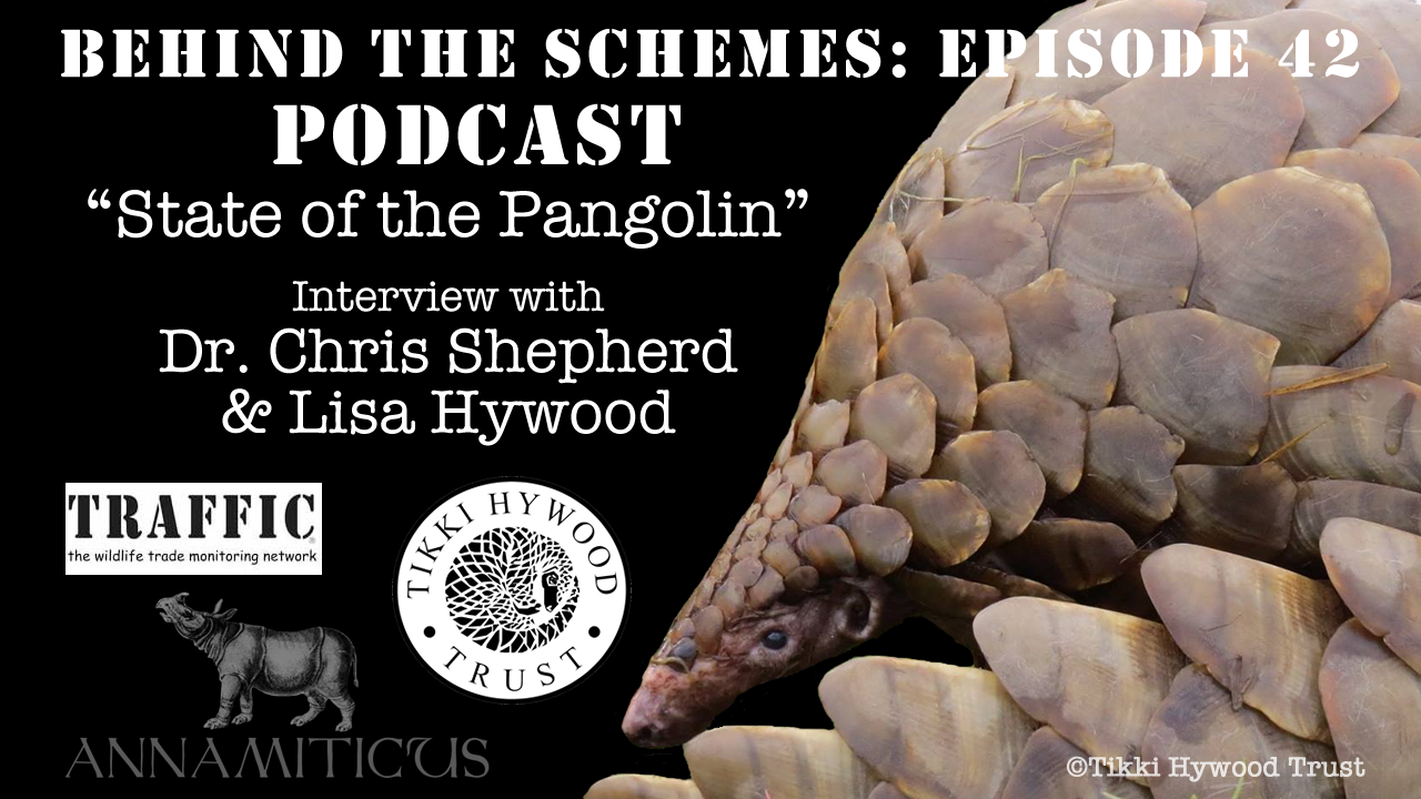 Have a listen to what Dr. Chris Shepherd, Regional Director, TRAFFIC Southeast Asia and Lisa Hywood, founder of Tikki Hywood Trust in Zimbabwe, have to say about the State of the Pangolin.