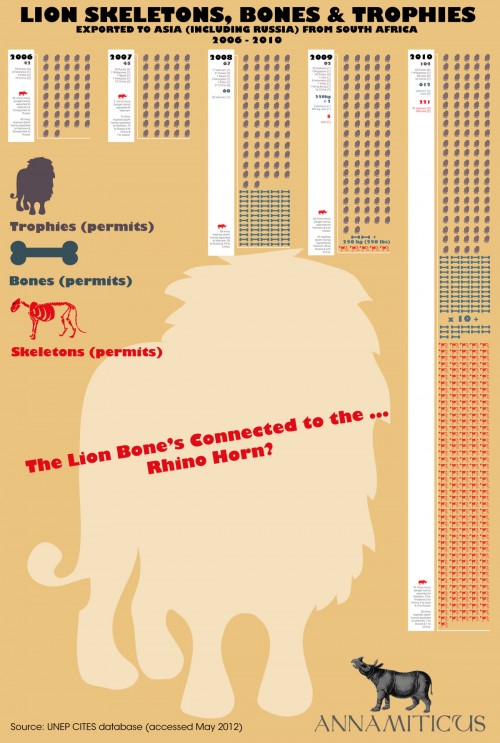 Lion bone exports from South Africa to Asia increased significantly between 2006 and 2010 (click to enlarge). Image © Annamiticus