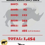 South Africa: 455 Rhinos Killed in 289 Days