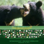 A Successful ‘Vietnam Bear Day’