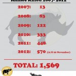 South Africa: 570 Rhinos Killed in 324 Days