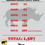 South Africa: 588 Rhinos Killed in 331 Days 