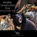 ‘Wildlife Conservation Day’ is Dec. 4: U.S. Launches Global Campaign Against Wildlife Trafficking