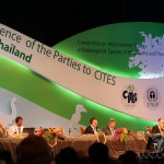 CITES CoP16: Positive Response to ‘World Wildlife Day’, Less Consensus on Transparency Issues