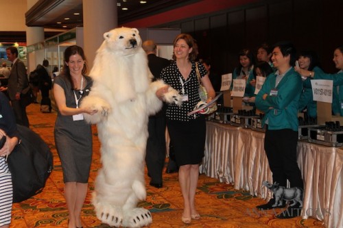 Polar bears did not receive the required votes to be uplisted to Appendix I. Photo by Annamiticus