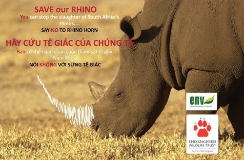 Education for Nature-Vietnam has launched a campaign to stop the consumption of rhino horn.