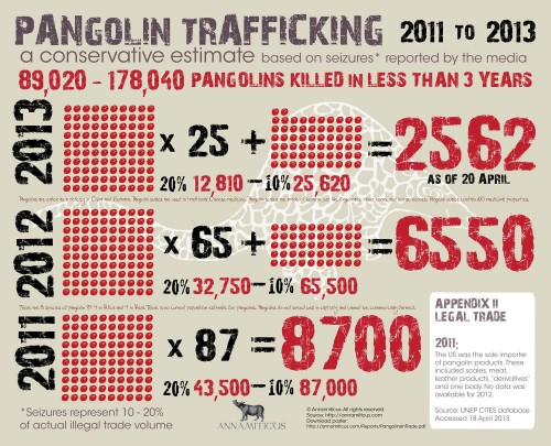 Pangolin Trafficking 2011 -- 2013: A conservative estimate based on seizures reported by the media. Image © Annamiticus