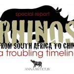 Strange Twist in China ‘Rhino Horn Farming’ Scheme