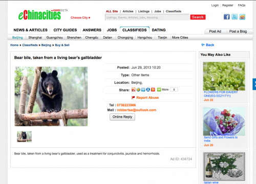 In the classified section of eChinacities.com, an advertiser offers "Bear bile, from a living bear's gallbladder" (screenshot).