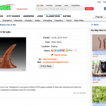 Chinese Website Displays Adverts for Rhino Horn, Bear Bile [UPDATED]