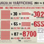 Pangolin Trafficking: 2011 to August 2013 [Infographic]