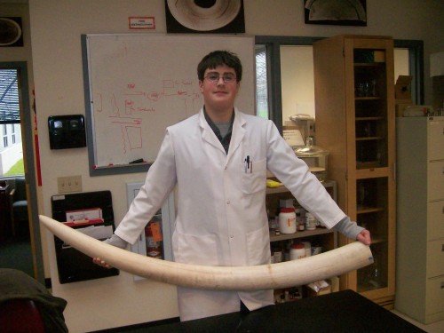 Michael at the lab with large elephant tusk. Photo © Sal Amato