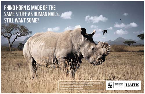 WWF and TRAFFIC launched an innovative visual campaign against rhino horn consumption in Vietnam.