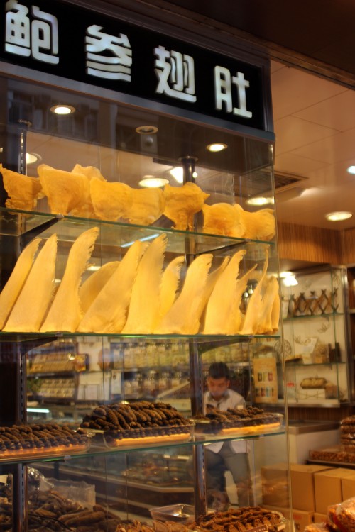 Shark fins on display in a Hong Kong shop. Photo © A. Andersson
