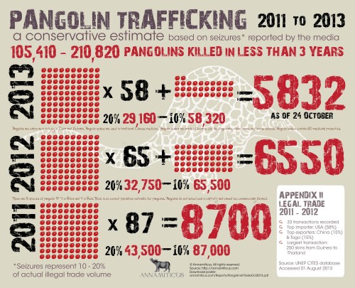 An estimated  105,410 - 210,820 pangolins have been victims of the illegal trade since 2011. Image © Annamiticus