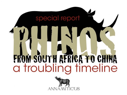 South Africa has exported more than 100 white rhinos to China since 2006. Image © Annamiticus