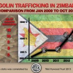 Historical Conviction in Zimbabwe for Pangolin Trafficker