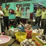 Wildlife Traffickers Aided by Corruption Along Vietnam-China Border