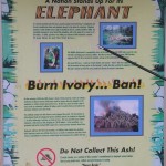 Ivory Destruction: Beyond Burning