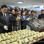 470 Turtles Seized at Thai Airport, Smuggler Arrested [Photos]