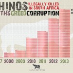 South Africa: 825 Rhinos Killed in 309 Days