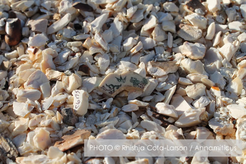 The United States crushed six tons of confiscated ivory on November 14, 2013. Photo © Annamiticus