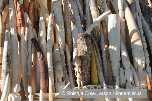 Amid chaos in Africa linked to ivory trafficking, France boldly steps forward to destroy its ivory stocks. Photo © Rhishja Cota-Larson / Annamiticus