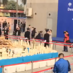 China Crushes 6.1 Tons of Ivory: Who’s Next?
