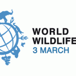 First Annual World Wildlife Day is March 3