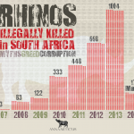 South Africa: 172 Rhinos Killed in 72 Days