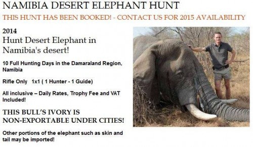 Namibia Desert Elephant Hunt