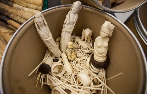 Confiscated illegal ivory carvings were packed into barrels and incinerated. Photo:  Alex Hofford