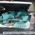 2 Pangolin Smugglers Caught in Vietnam