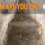 Rhino Conservation Groups Unite for World Rhino Day with the Kickoff of Team Rhino