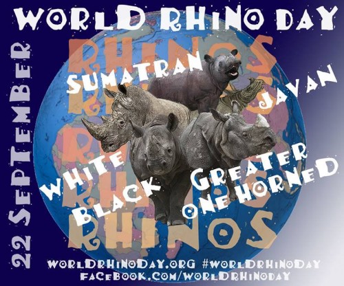 All five rhino species are celebrated on World Rhino Day!