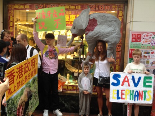 A handmade elephant carcass model, placards and child dressed as an elephant.  PHOTO: Astrid Andersson