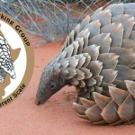 Official Launch of African Pangolin Working Group