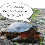 Louisiana Court Sentences Turtle Trafficker to Prison