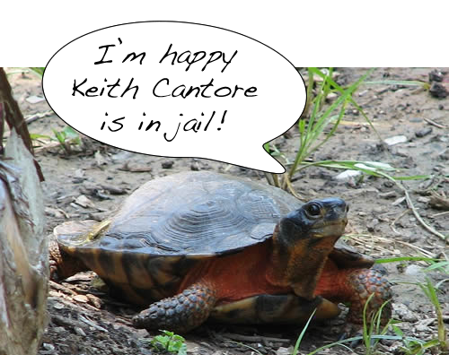 Turtle trafficker Keith Cantore has been sentenced to 41 months in prison and ordered to pay a $41,000 fine. Photo by Ltshears via Wikimedia Commons.