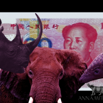 Will China’s Falling Yuan Impact Illegal Wildlife Trade?