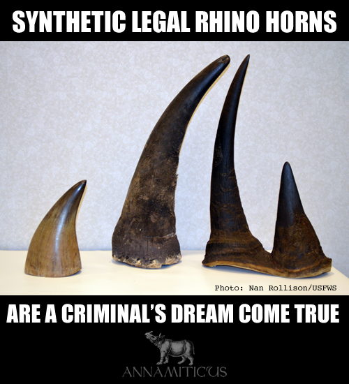 Synthetic Rhino Horn Hoopla Under Scrutiny :: ANNAMITICUS