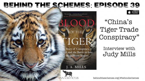 Tune in to the Behind the Schemes podcast to hear what investigator Judy Mills has to say about China’s ongoing scheme to circumvent international law, profit from commercial breeding of captive tigers - and ultimately push wild tigers into extinction.