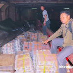 Thousands of Smuggled Birds Seized in East Java Port, One Suspect Arrested