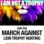 Wildlife Charities Unite to Call for End to Lion Trophy Hunting