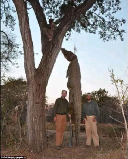 “There seems to be a revolving door between the anti-hunting groups and leadership of the USFWS," laments Donald Trump Jr.