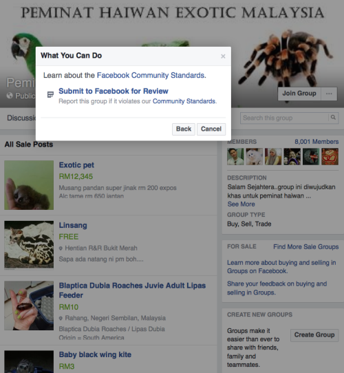 Peminat Haiwan Exotic Malaysia: "Submit to Facebook for Review"