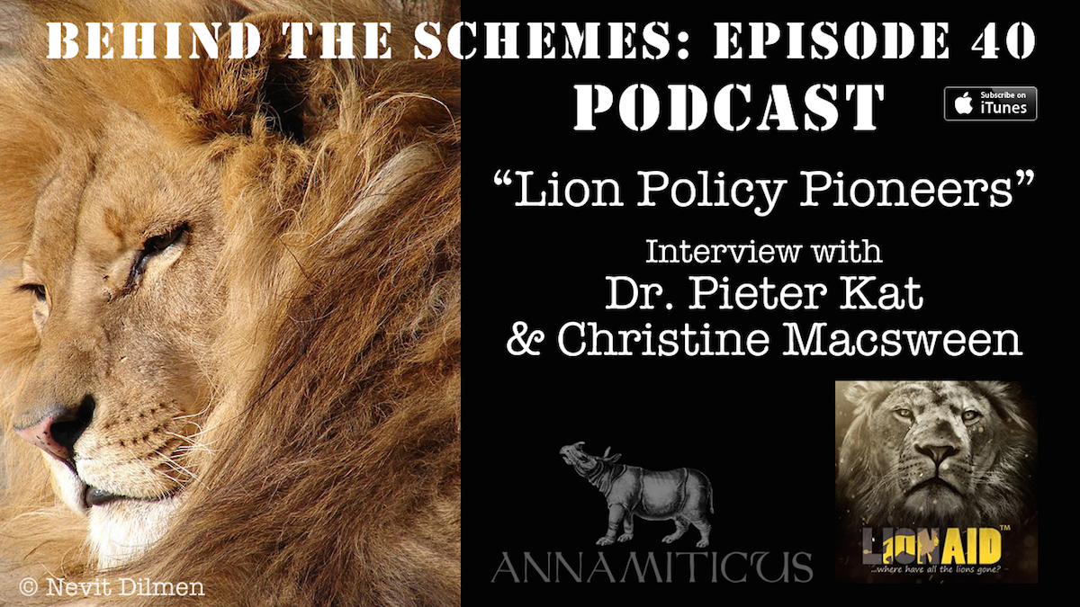 In Episode 40 of the Behind the Schemes podcast, we're talking about African lions and the haunting spectre of trade.