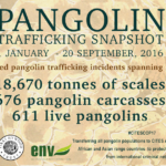 Shocking Figures Reveal Deadly Reality for Pangolins